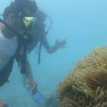 scuba diving in lakshadweep