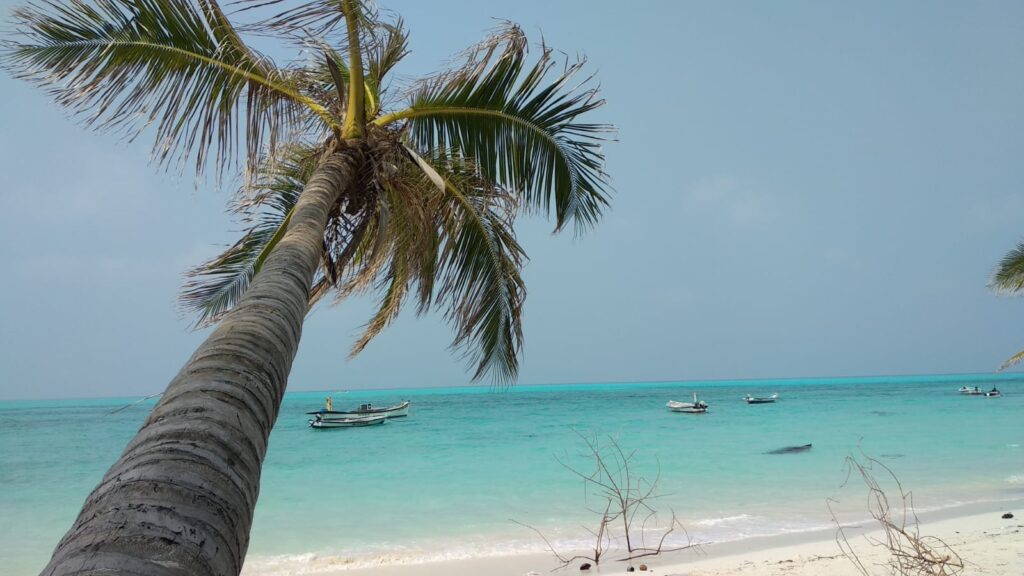 Perfect Lakshadweep tour packages