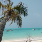 Perfect Lakshadweep tour packages