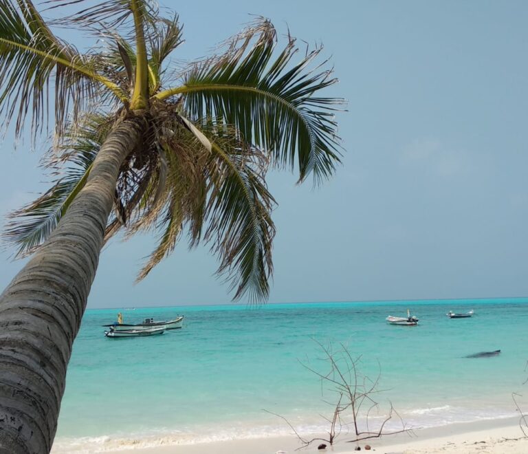 Perfect Lakshadweep tour packages