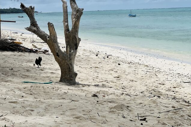 Lakshadweep Island Tour Beaches